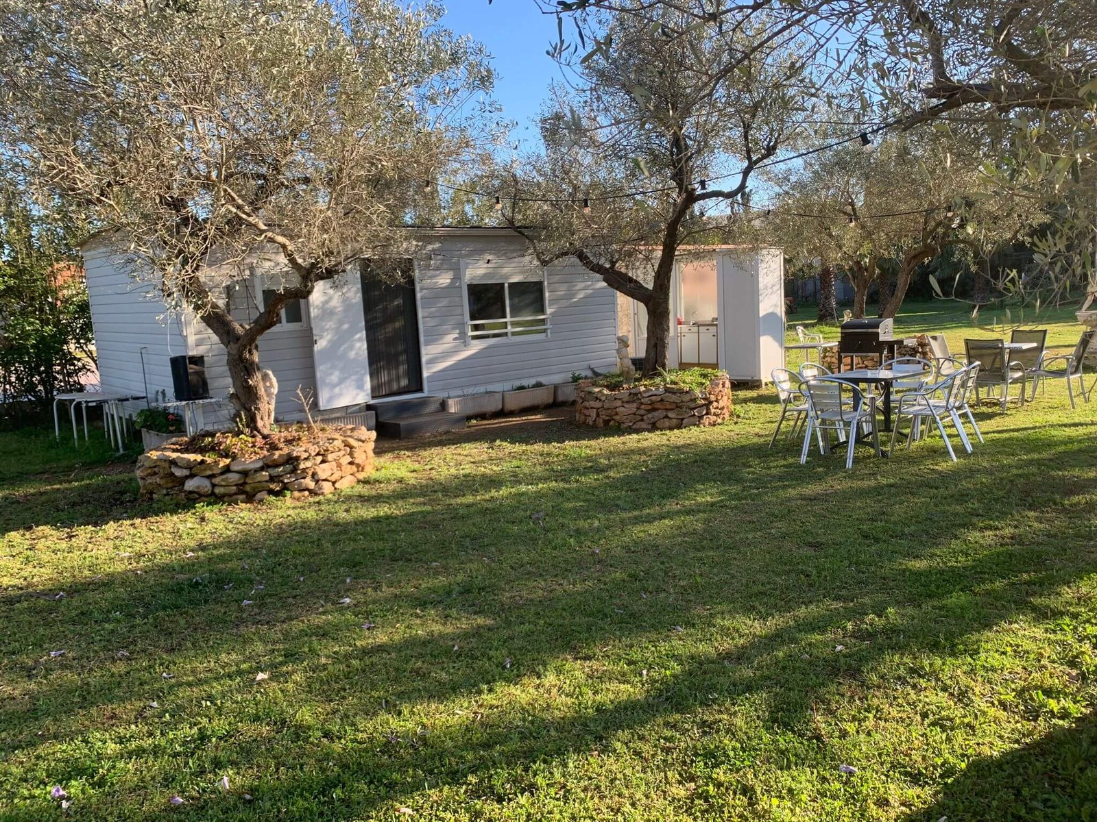 Exterior entre oliveres