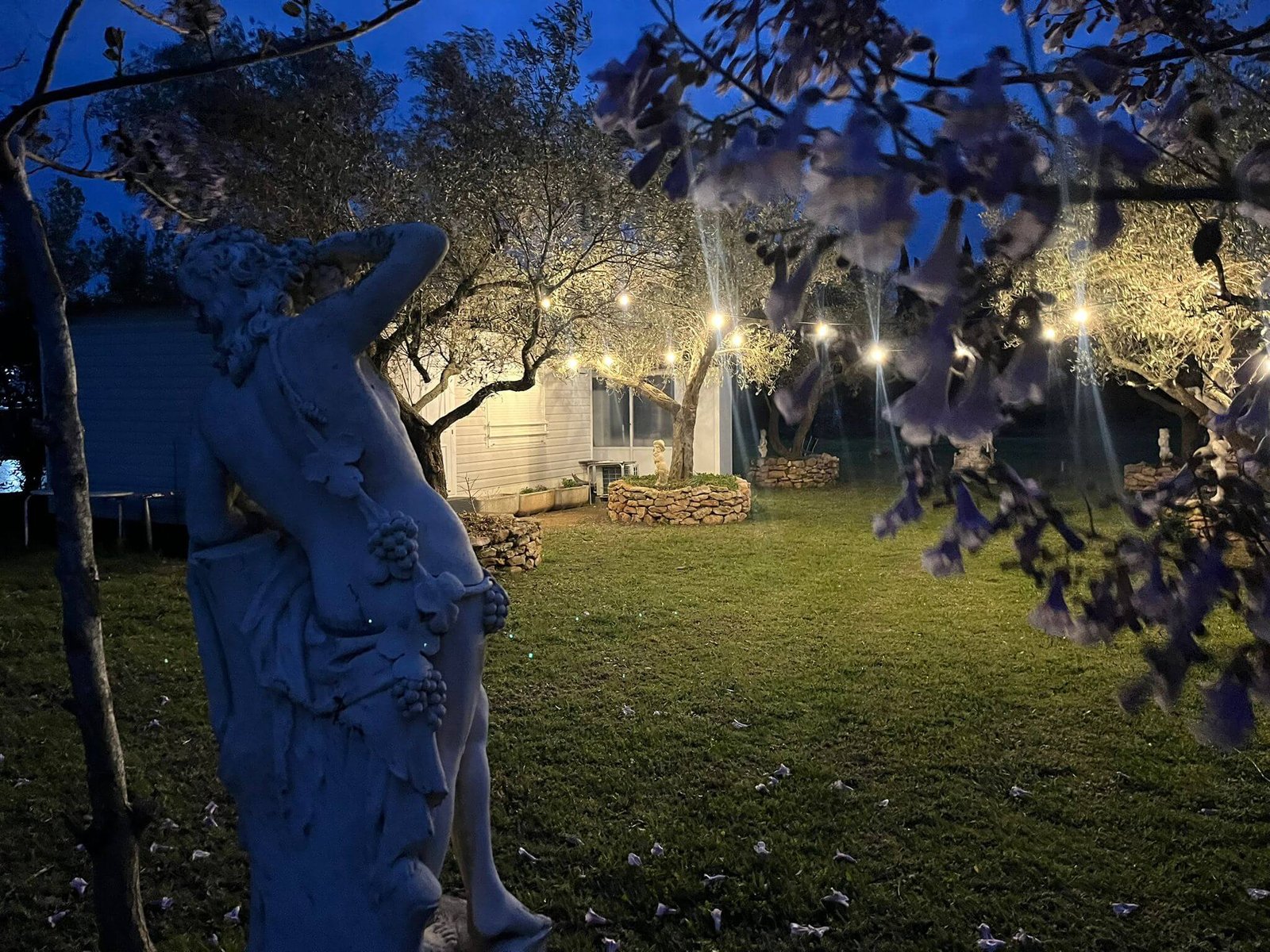 Detall del jardí il·luminat